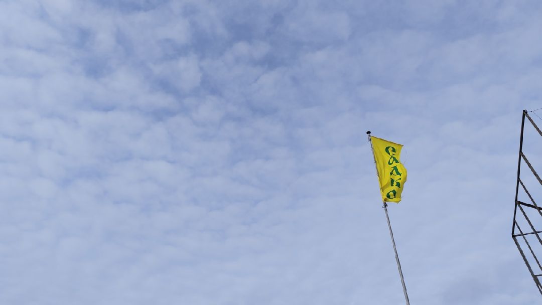 Пушкино, Пушкинский, 8 марта, тюльпаны, праздник, милые дамы, Весна в Подмосковье, Международный женский день