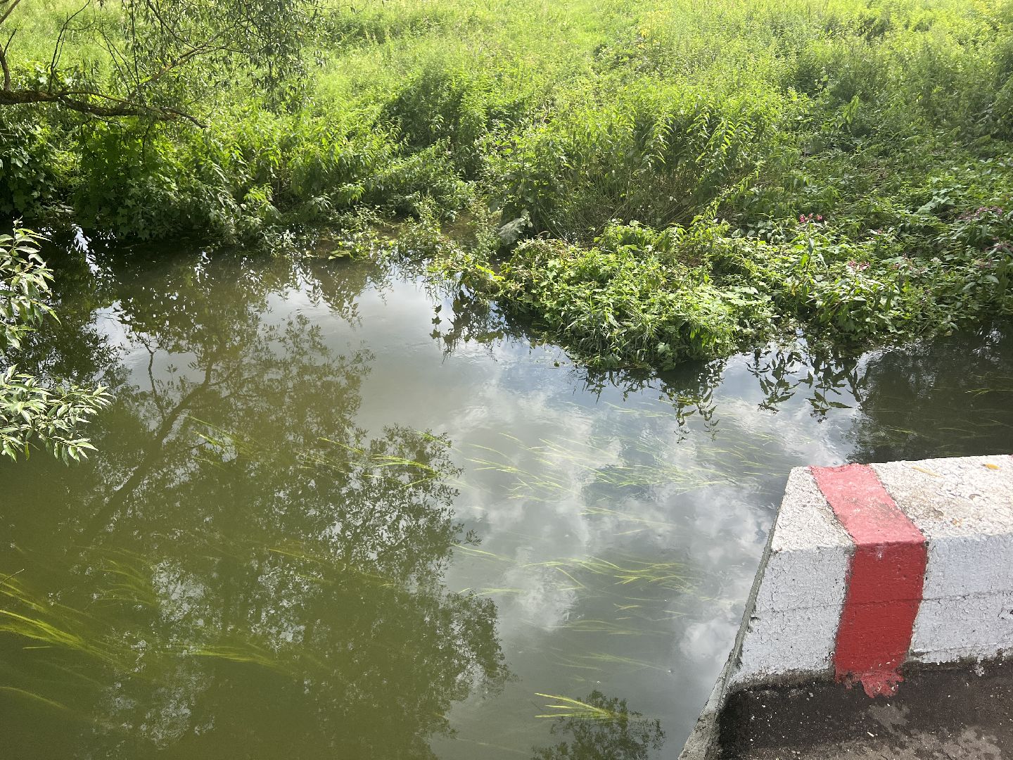 Химки, микрорайон Сходня, экология, река Горетовка