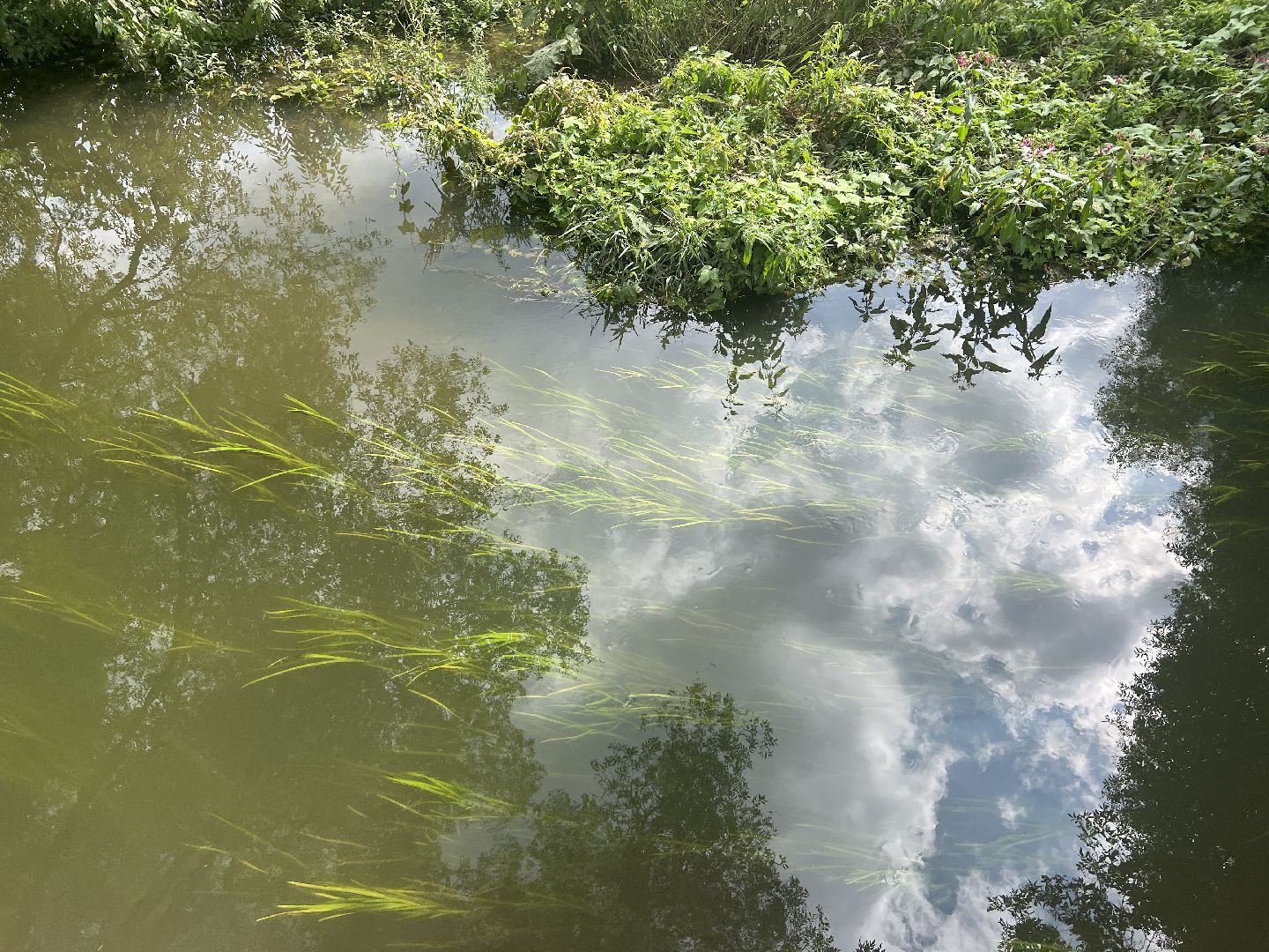 Химки, микрорайон Сходня, экология, река Горетовка