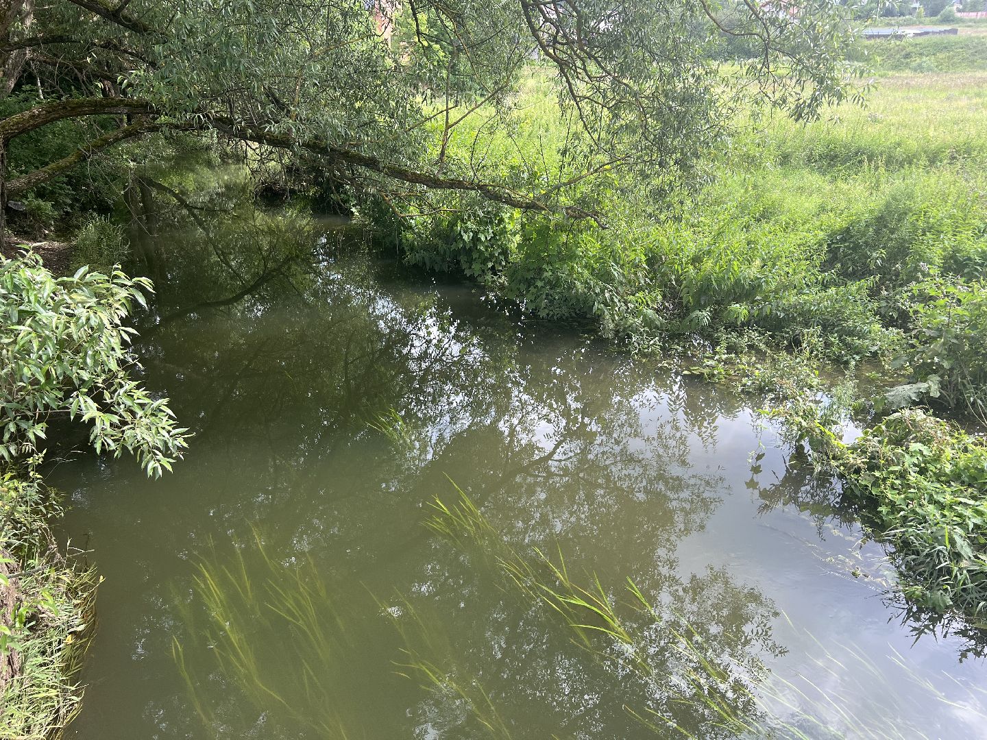 Химки, микрорайон Сходня, экология, река Горетовка