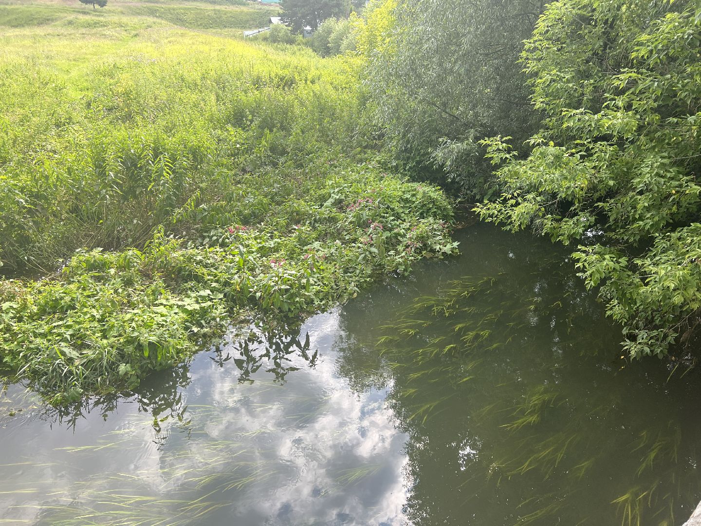 Химки, микрорайон Сходня, экология, река Горетовка