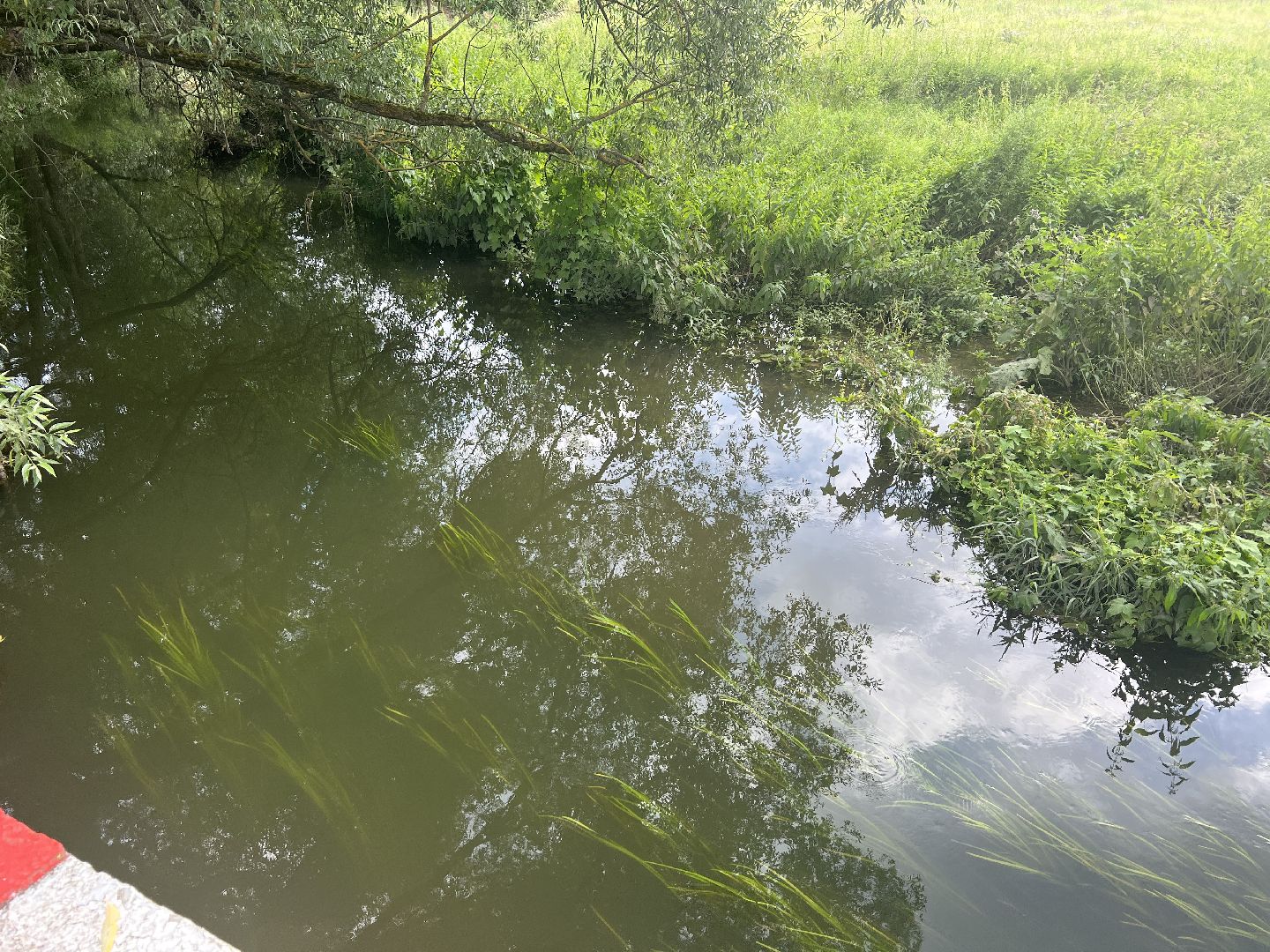 Химки, микрорайон Сходня, экология, река Горетовка