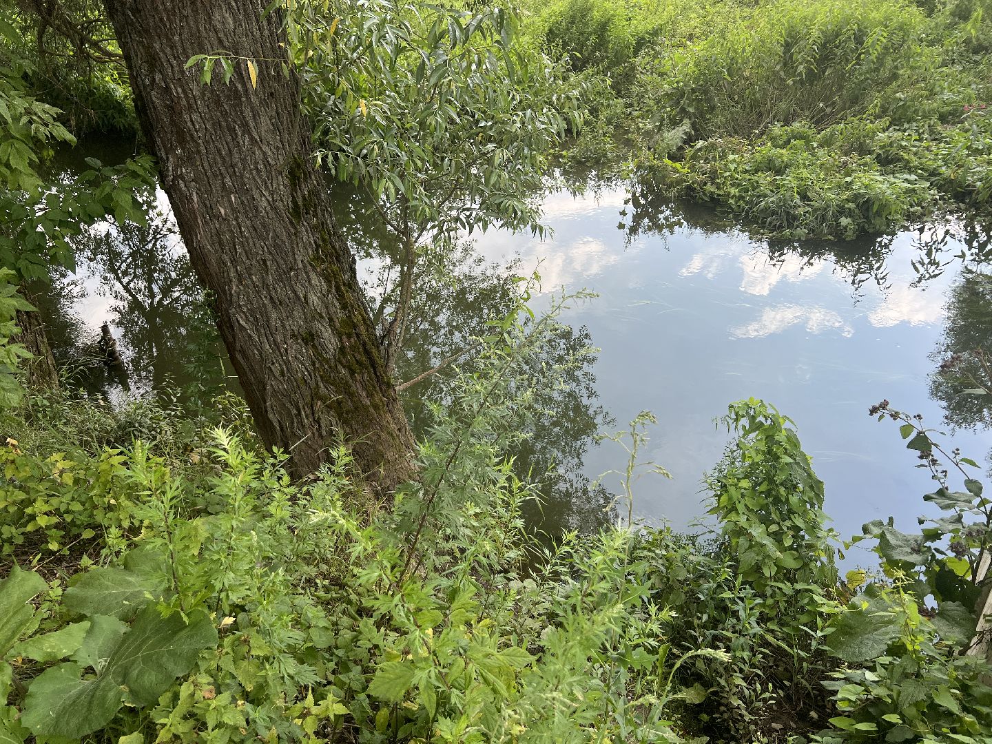 Химки, микрорайон Сходня, экология, река Горетовка