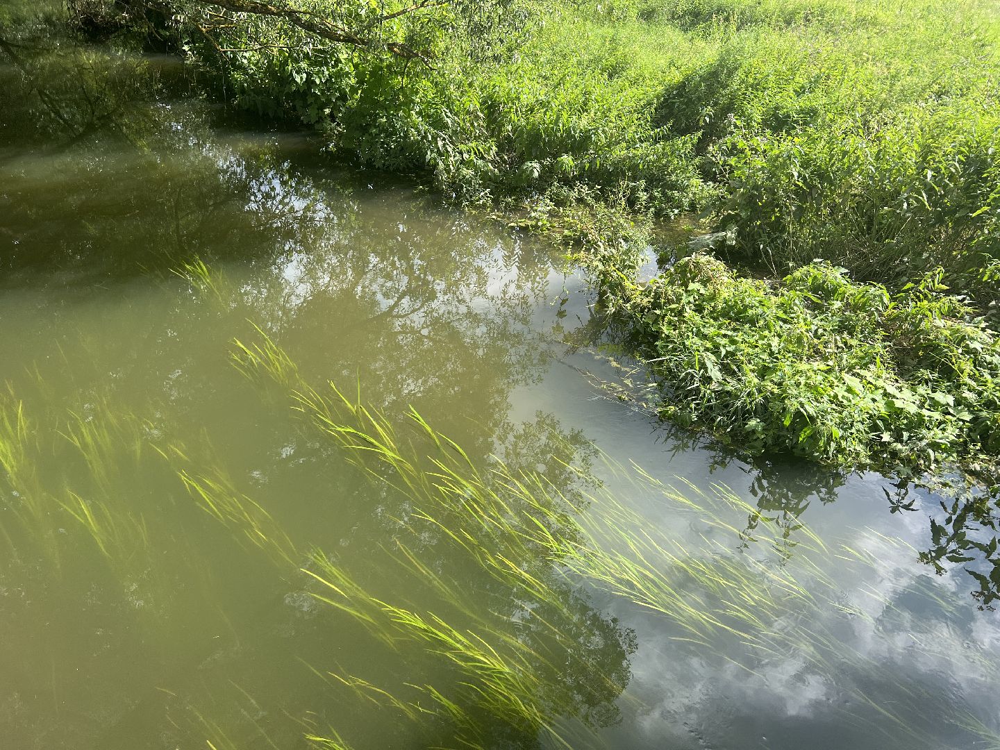 Химки, микрорайон Сходня, экология, река Горетовка
