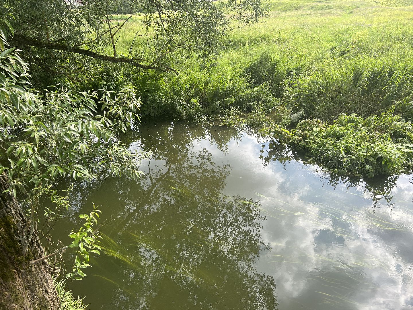 Химки, микрорайон Сходня, экология, река Горетовка