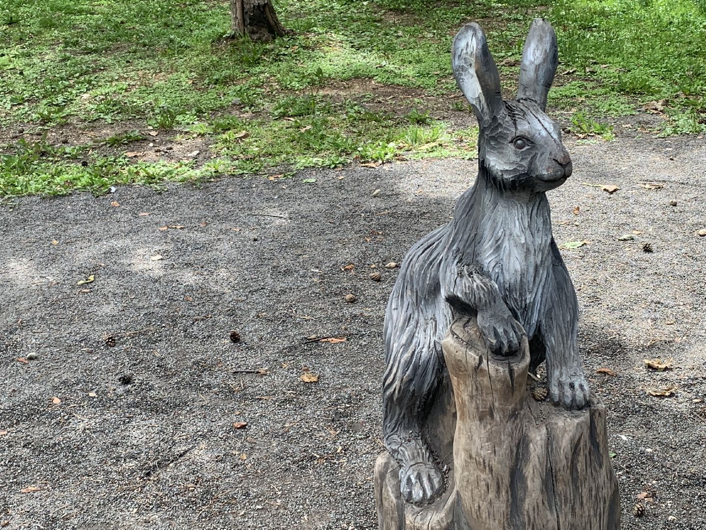 Благоустройство,парки,деревянные фигурки, Красногорск