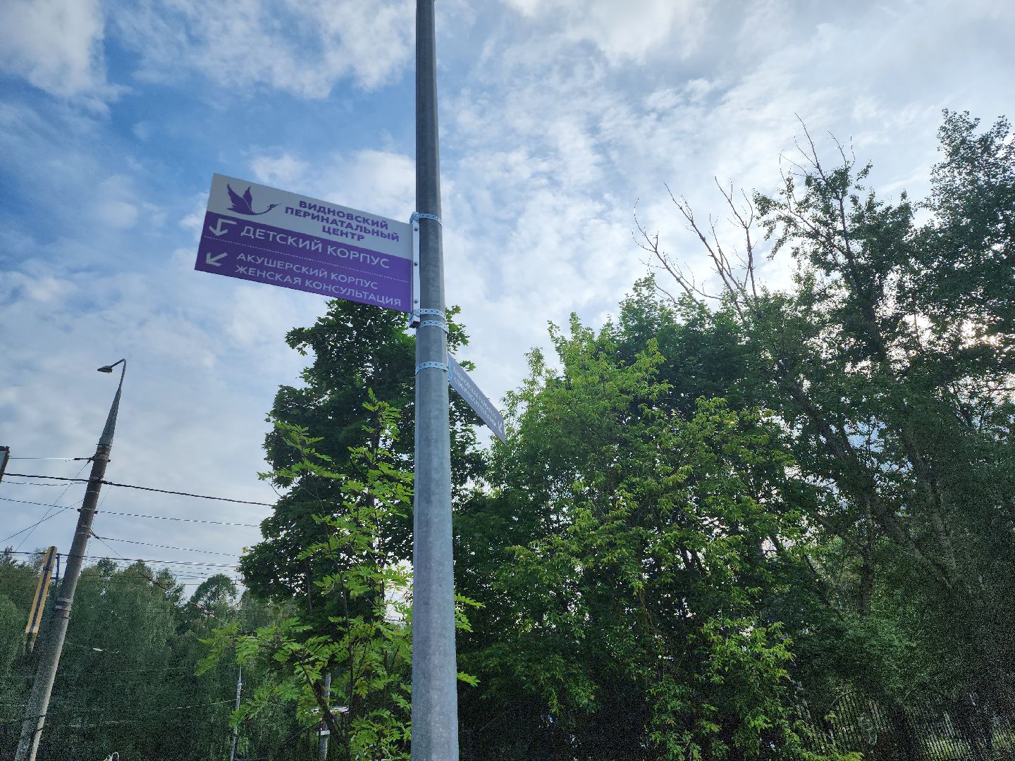 дети; имена; видное; история