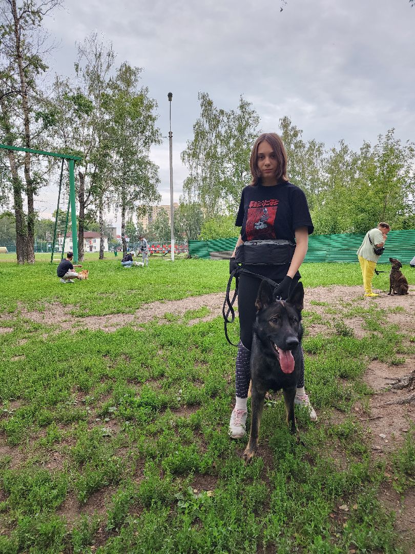 Объединение, собаководы, кинолог, Старая Купавна, Богородский городской округ