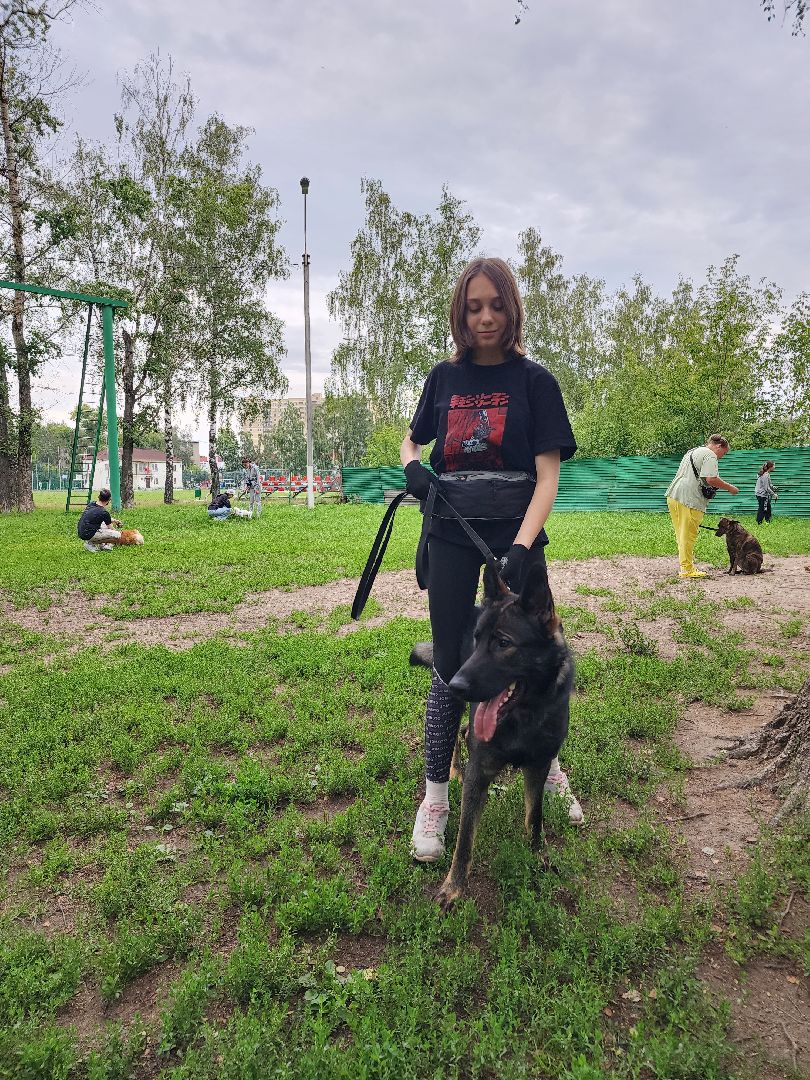 Объединение, собаководы, кинолог, Старая Купавна, Богородский городской округ