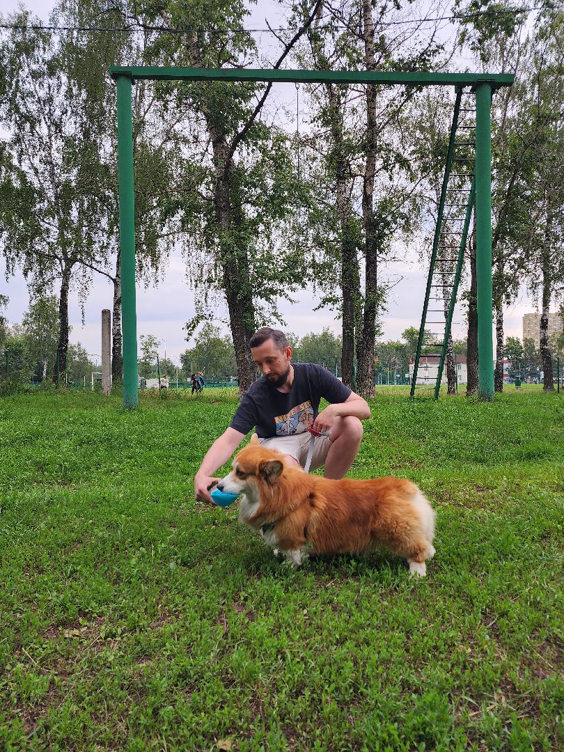 Объединение, собаководы, кинолог, Старая Купавна, Богородский городской округ