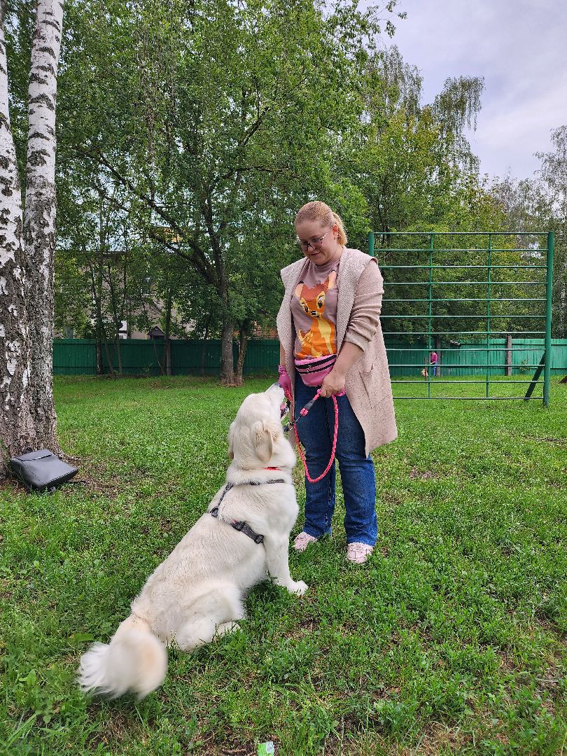 Объединение, собаководы, кинолог, Старая Купавна, Богородский городской округ