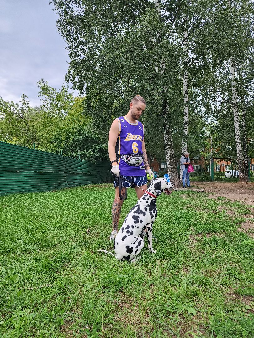 Объединение, собаководы, кинолог, Старая Купавна, Богородский городской округ