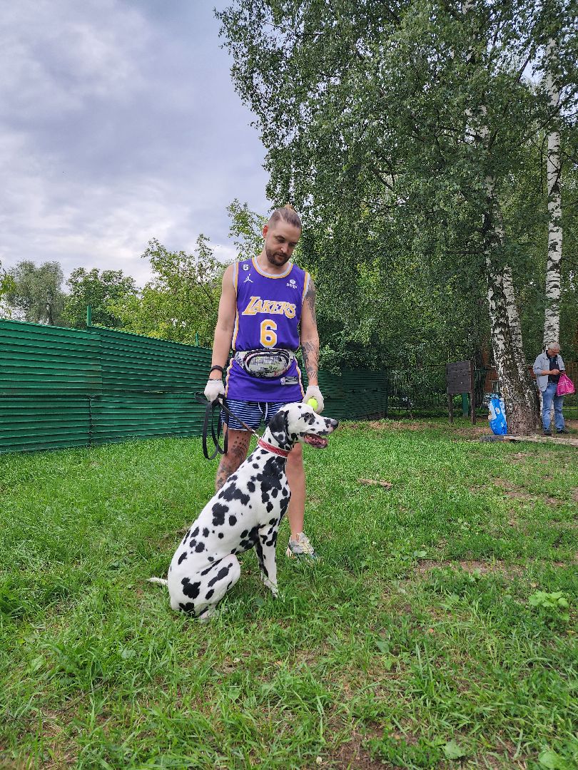 Объединение, собаководы, кинолог, Старая Купавна, Богородский городской округ