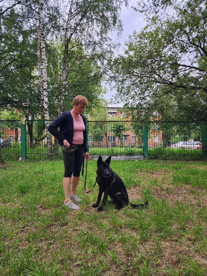 Объединение, собаководы, кинолог, Старая Купавна, Богородский городской округ