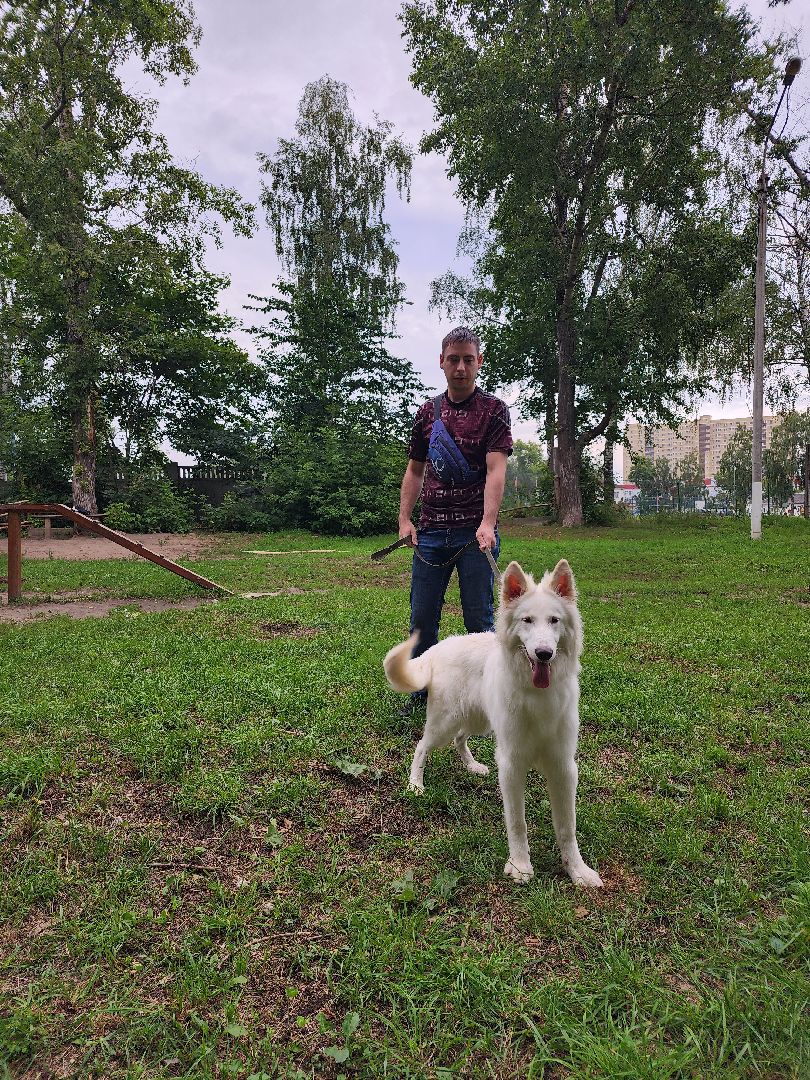 Объединение, собаководы, кинолог, Старая Купавна, Богородский городской округ