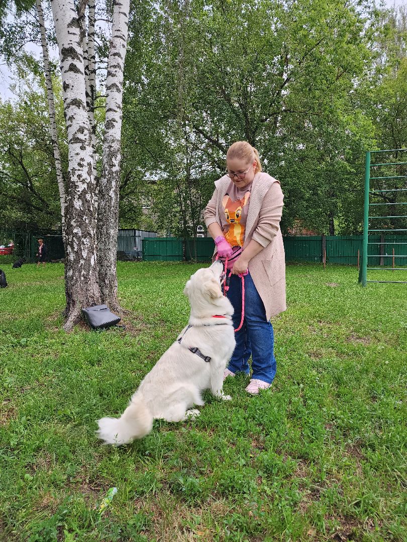 Объединение, собаководы, кинолог, Старая Купавна, Богородский городской округ