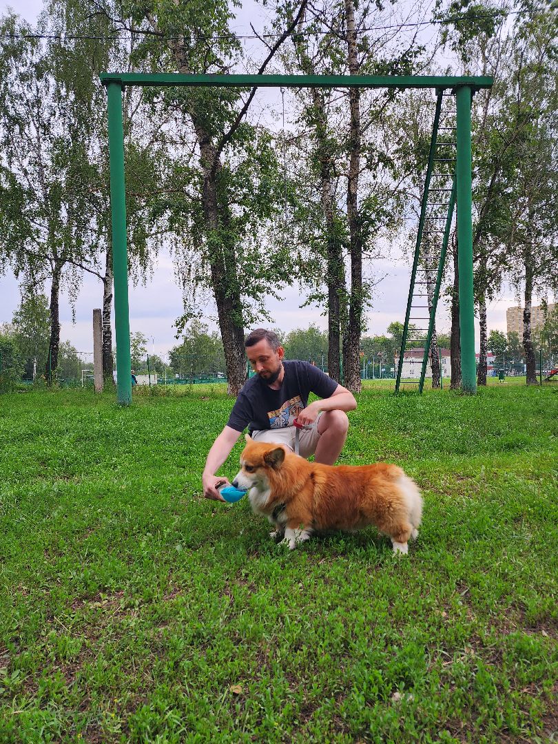Объединение, собаководы, кинолог, Старая Купавна, Богородский городской округ