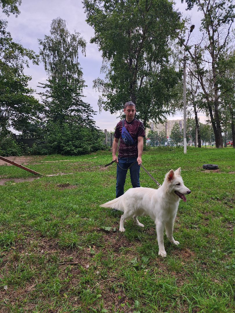 Объединение, собаководы, кинолог, Старая Купавна, Богородский городской округ