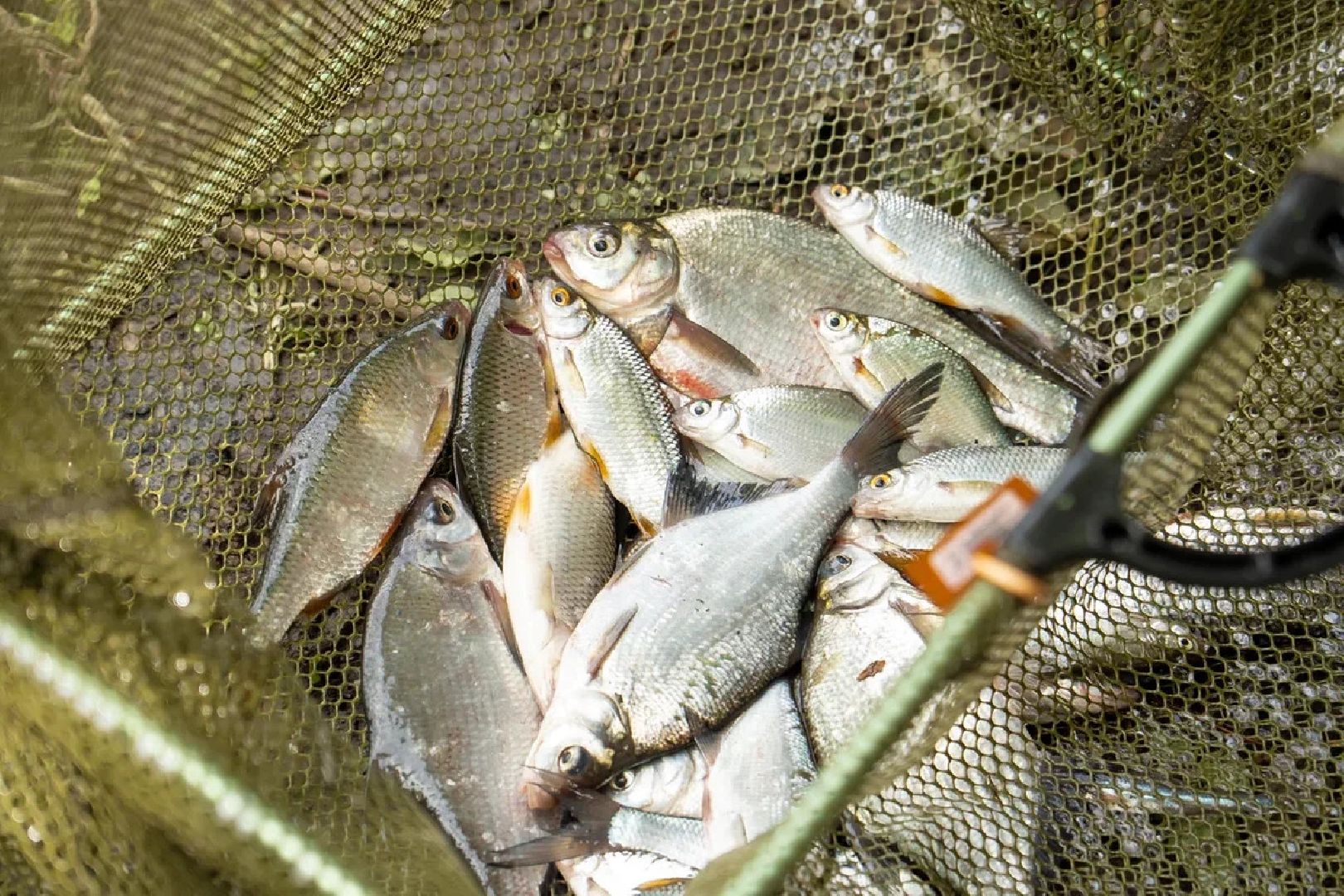 Спорт, рыбалка, Клязьма, Подмосковный берег, Орехово-Зуево