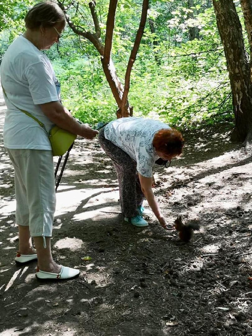 скандинавская ходьба, активное долголетие, Котельники