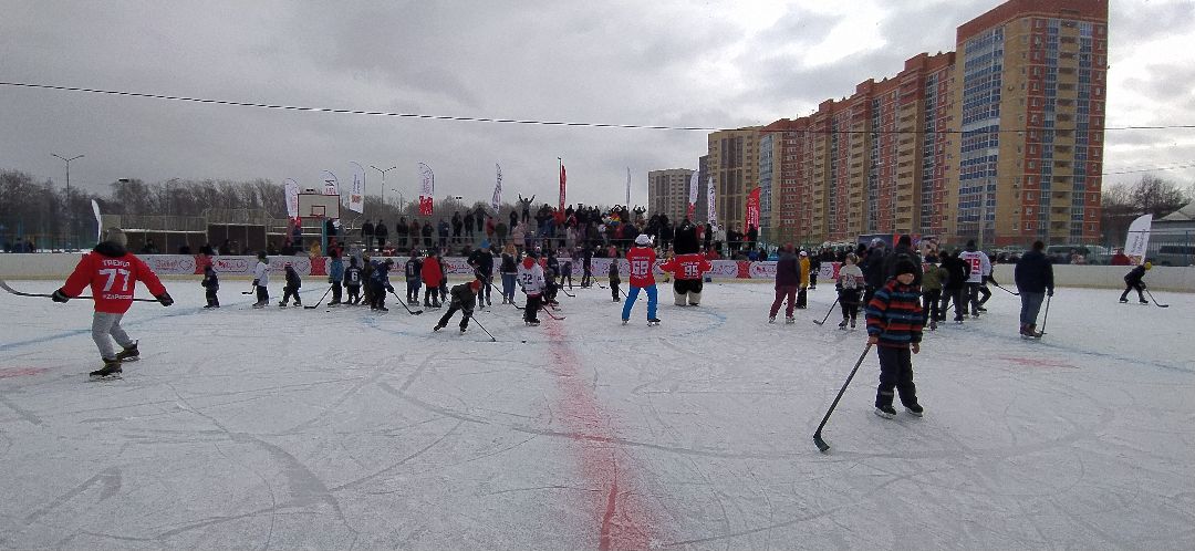 Спорт, хоккей, Щёлково, Фетисов, Выходи во двор, проект