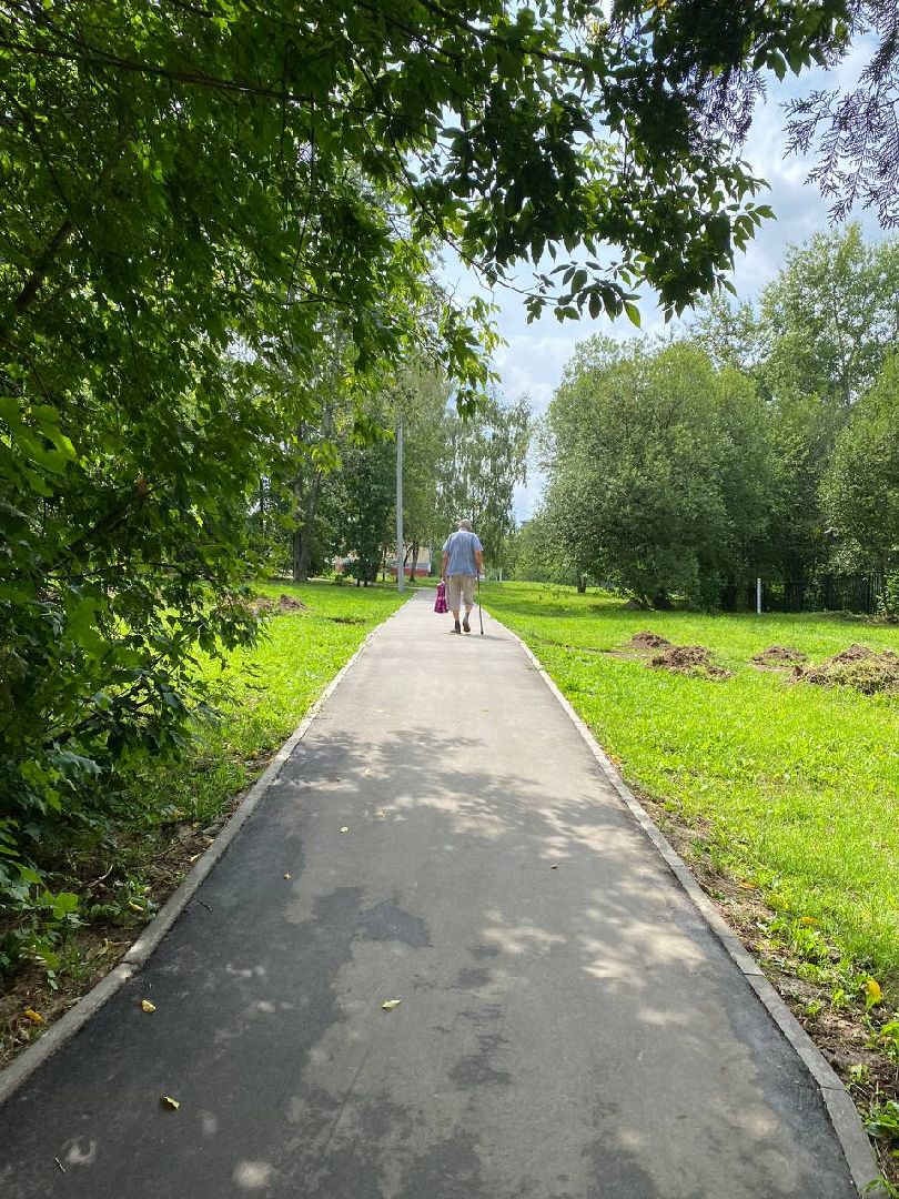 Чехов, благоустройство, народные тропы, губернатор, дорожки