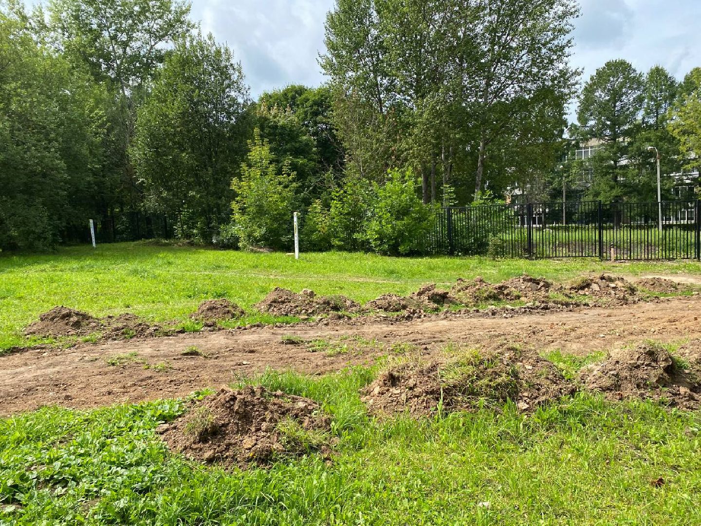 Чехов, благоустройство, народные тропы, губернатор, дорожки