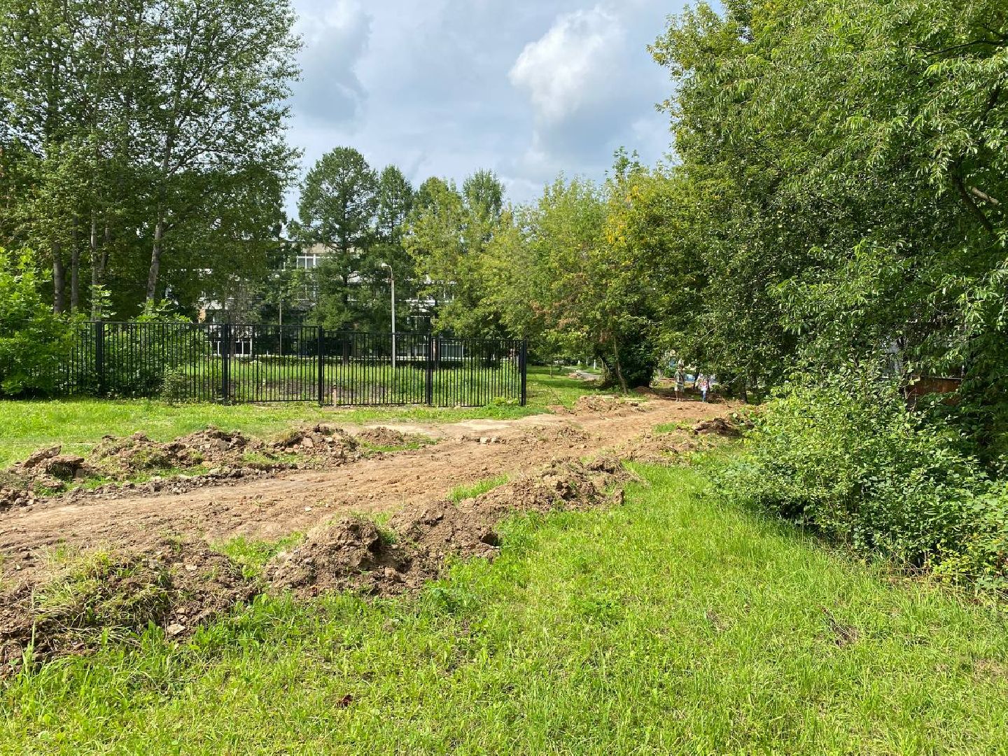Чехов, благоустройство, народные тропы, губернатор, дорожки