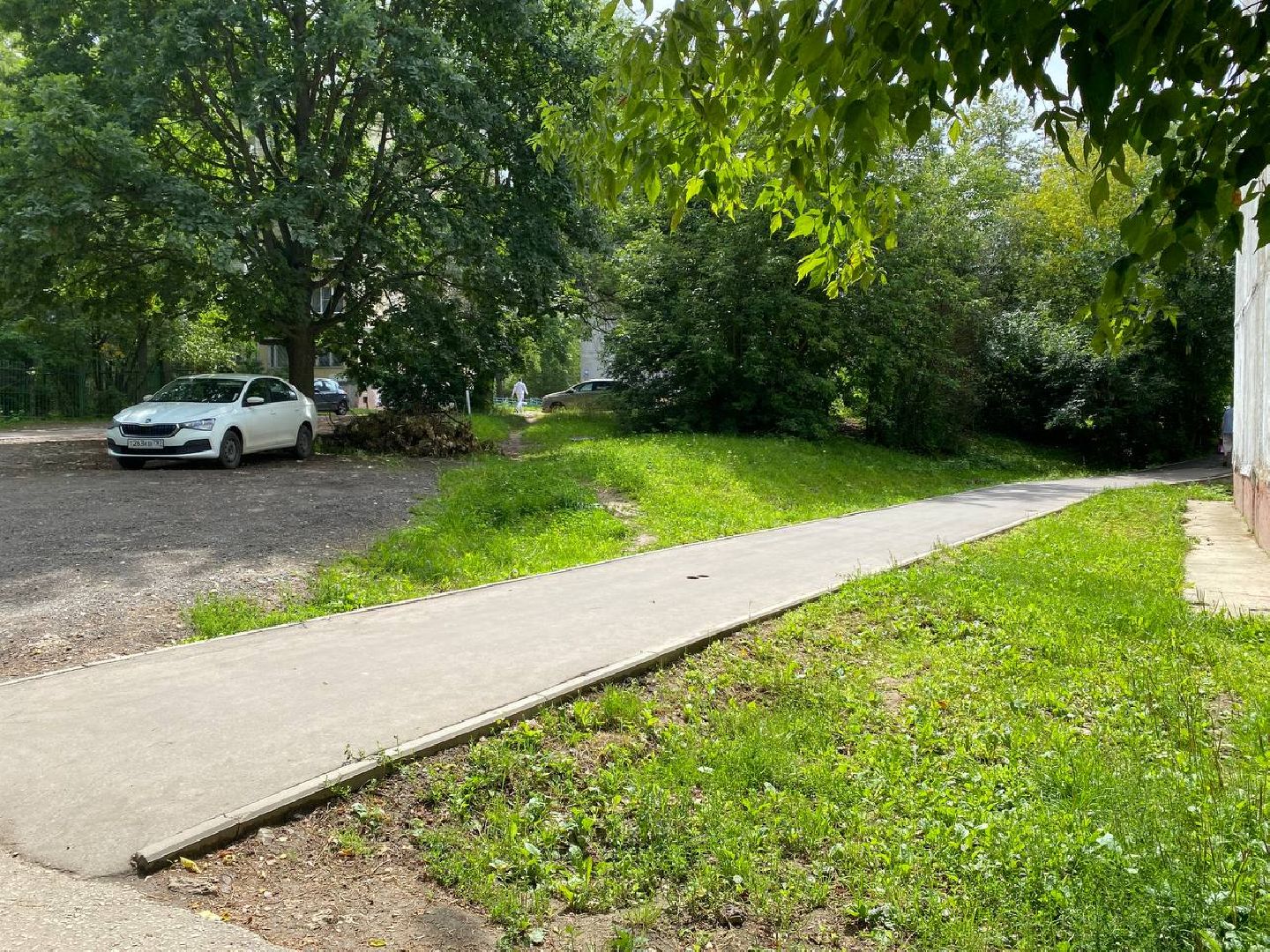 Чехов, благоустройство, народные тропы, губернатор, дорожки