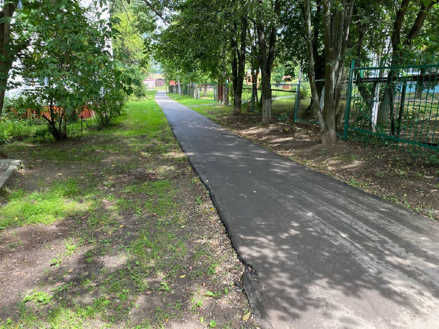 Чехов, благоустройство, народные тропы, губернатор, дорожки