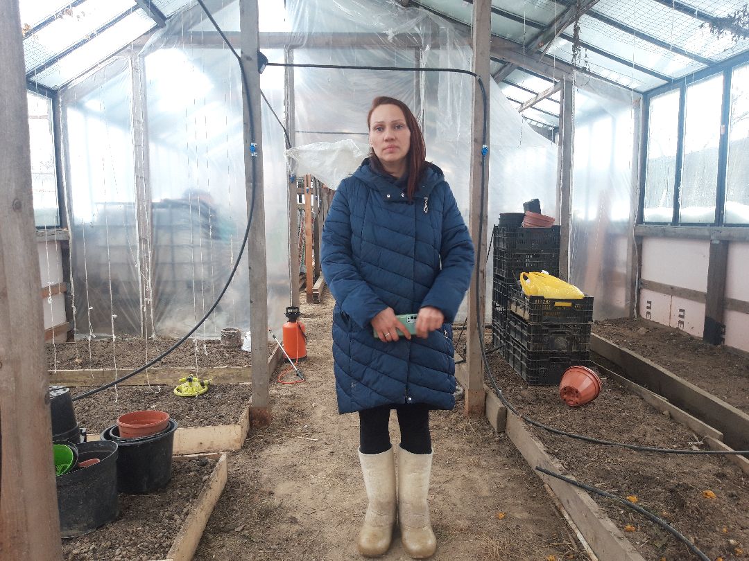 помощь людям, выплаты, продукты,