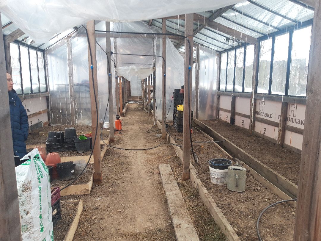 помощь людям, выплаты, продукты,