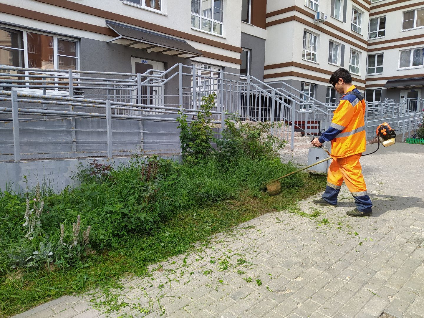 Нахабино, ЖК Малина, благоустройство, ЖКХ