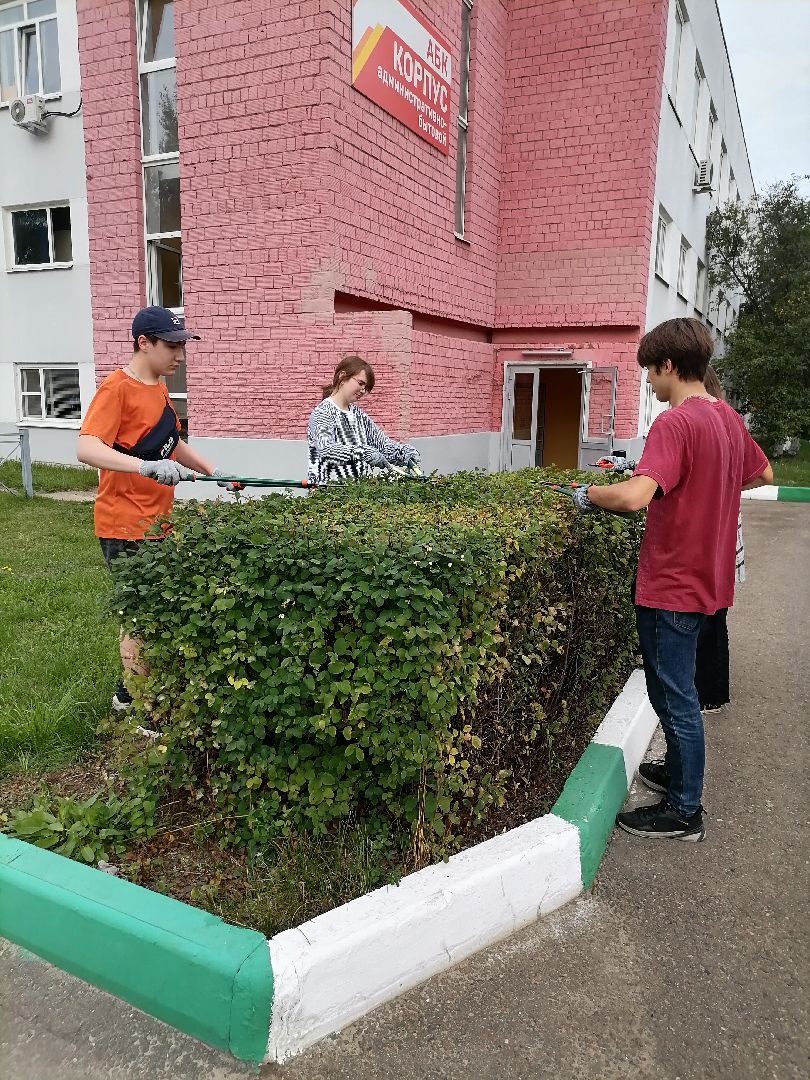 летоспользой