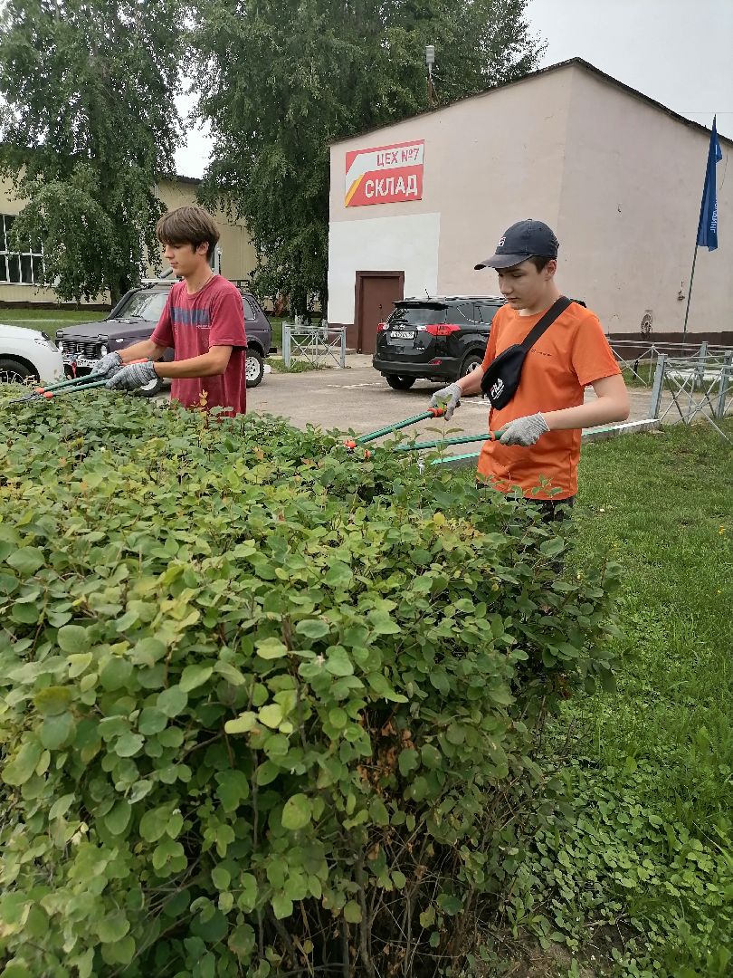 летоспользой