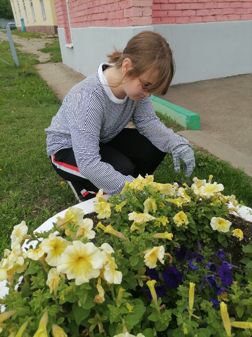 летоспользой