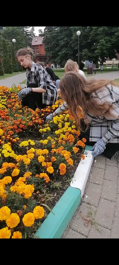 летоспользой