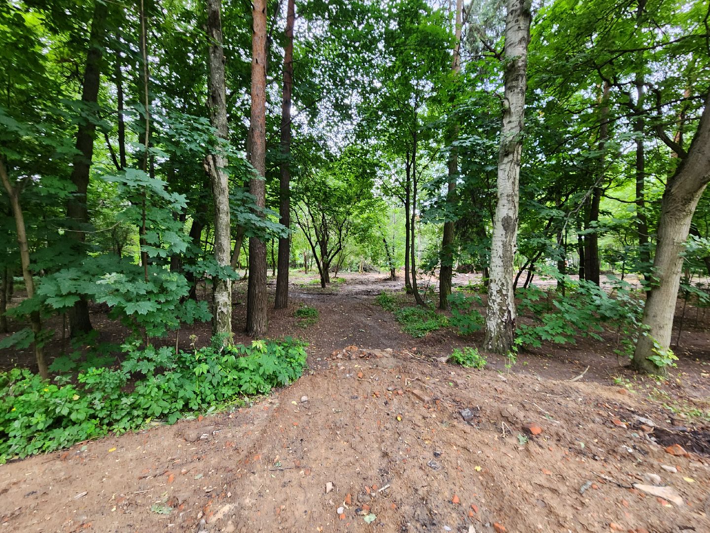 Одинцово, благоустройство, реконструкция, улица, ремонт, сквер,