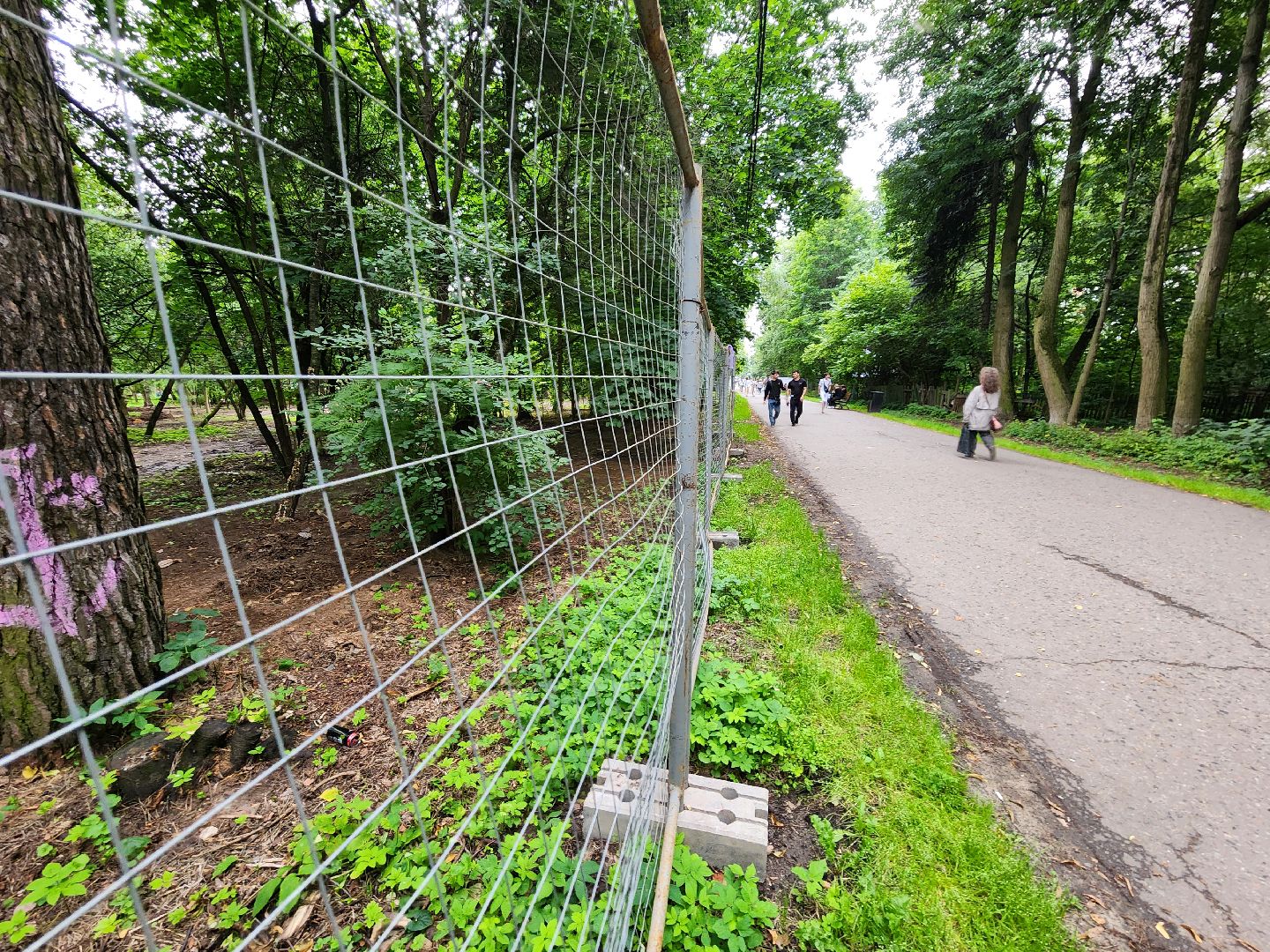 Одинцово, благоустройство, реконструкция, улица, ремонт, сквер,