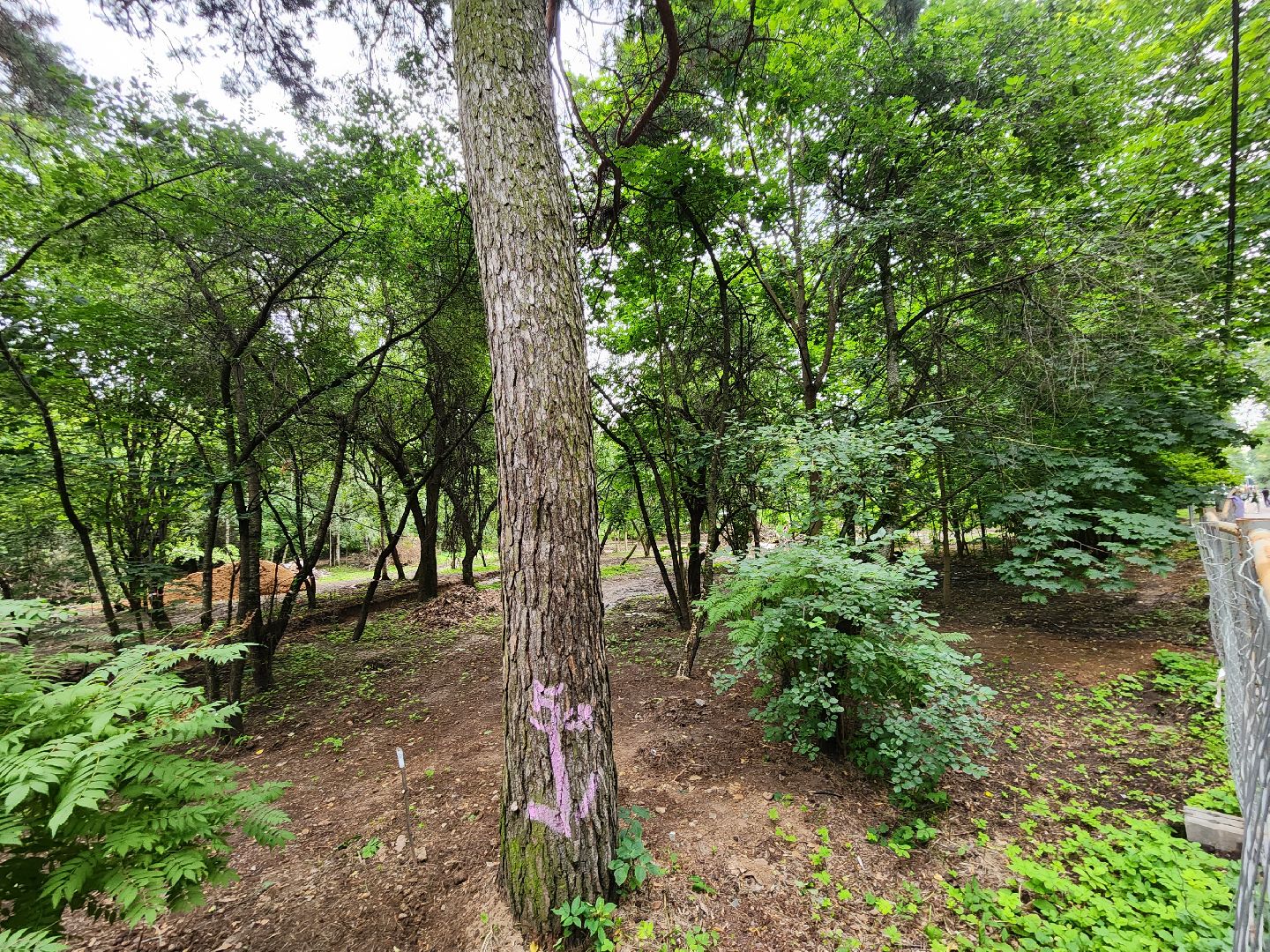 Одинцово, благоустройство, реконструкция, улица, ремонт, сквер,