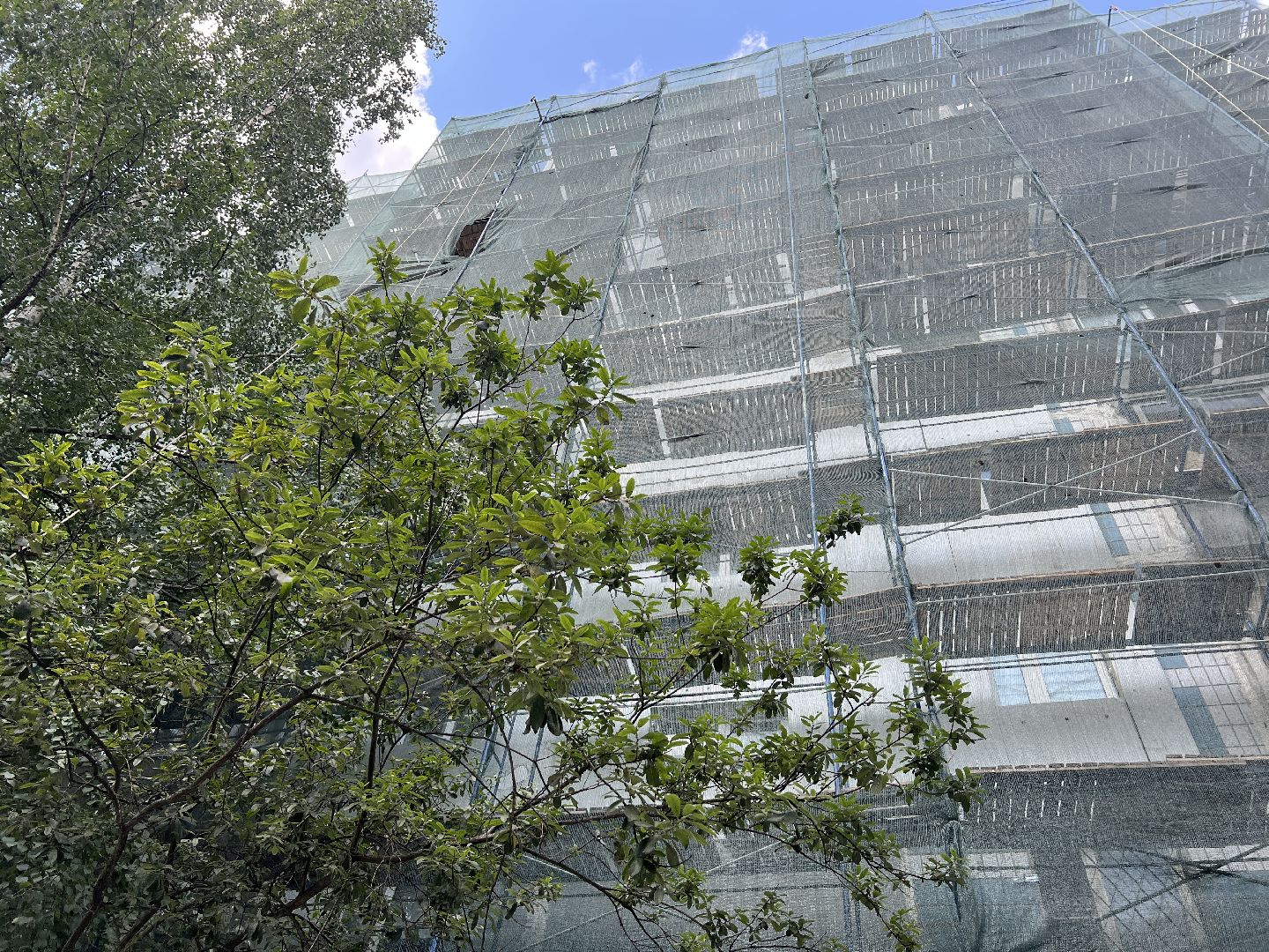 Химки, ремонт, улица Молодежная, благоустройство