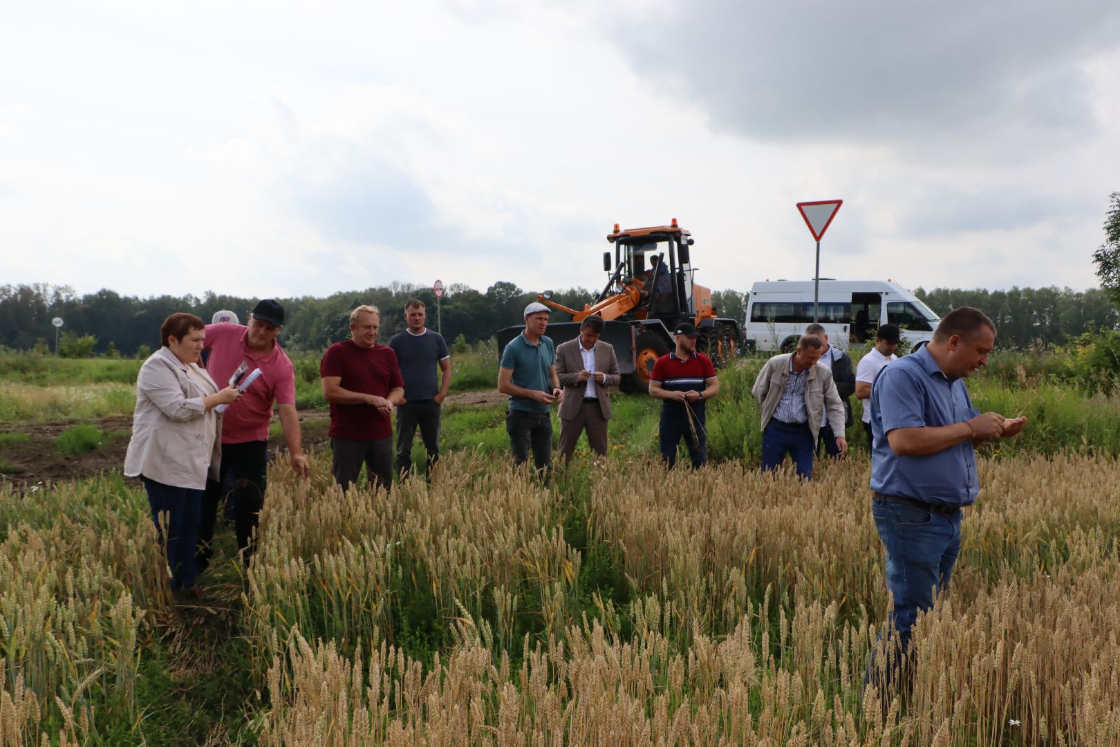 Серебряные Пруды, сельское хозяйство, урожай 2023