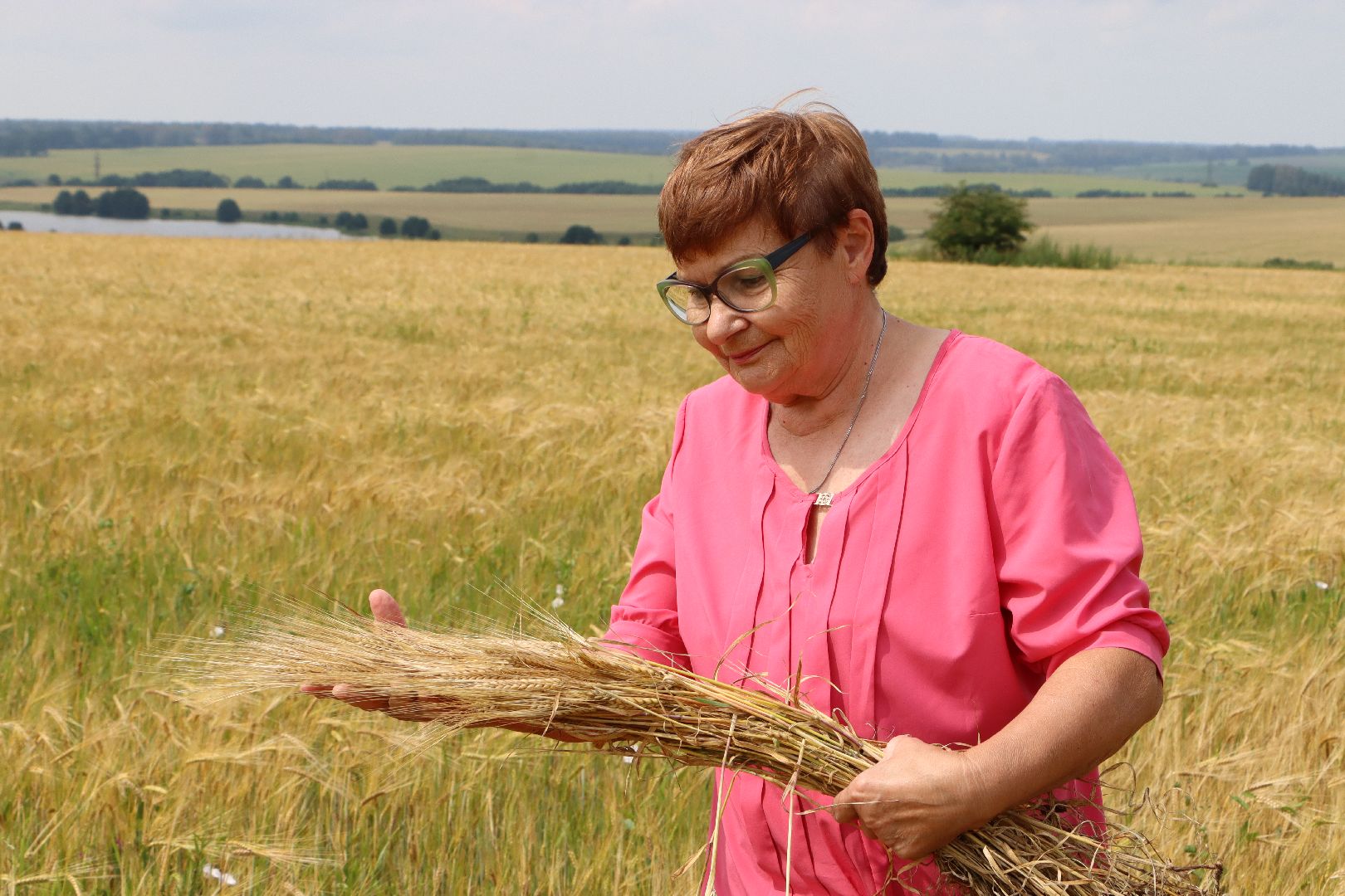 Серебряные Пруды, сельское хозяйство, урожай 2023