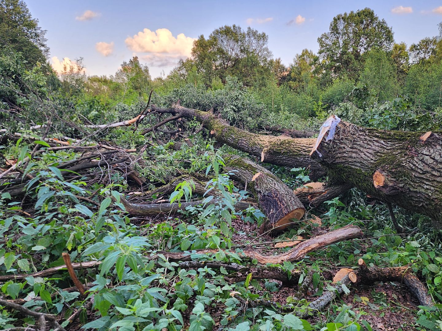 Подольск, строительство, школа