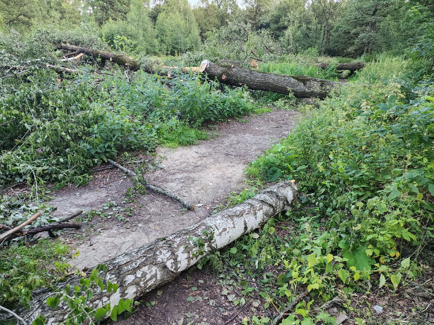 Подольск, строительство, школа