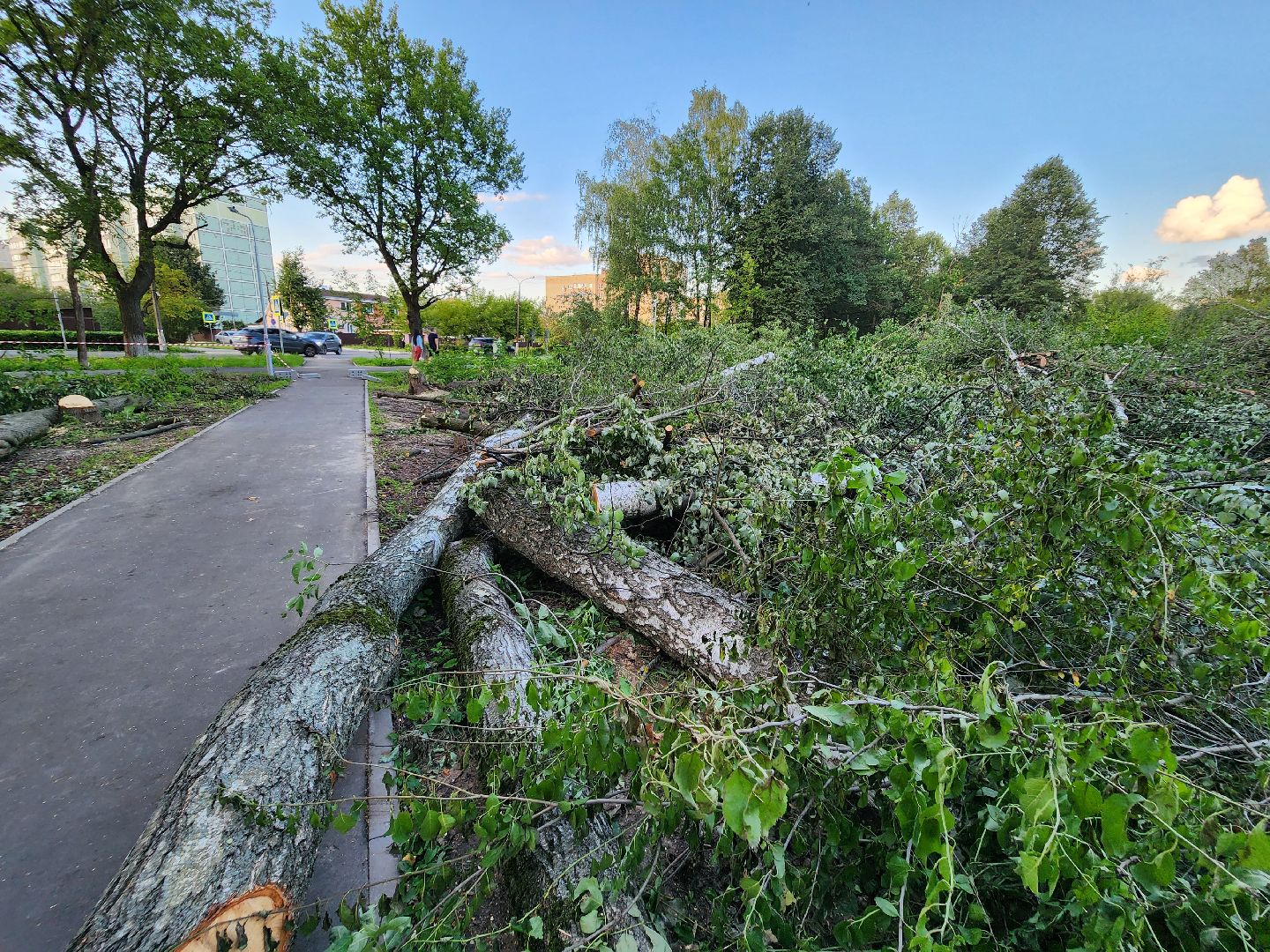 Подольск, строительство, школа