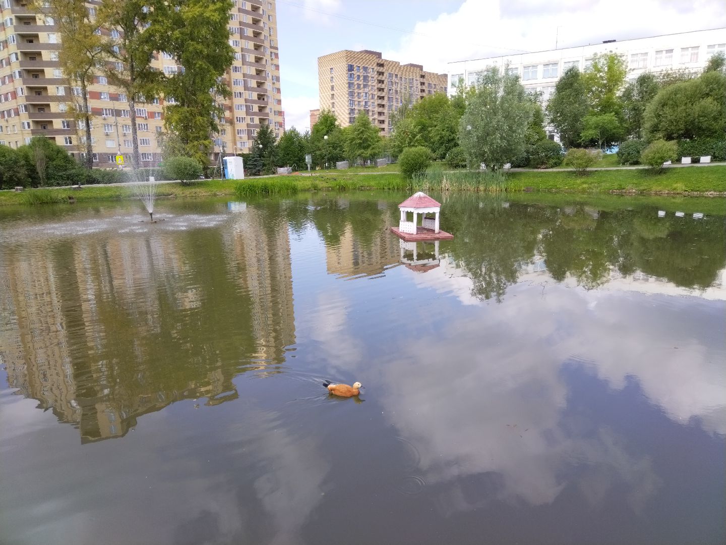 Мытищи, Ядреевский пруд, благоустройство, сквер на улице Колпакова