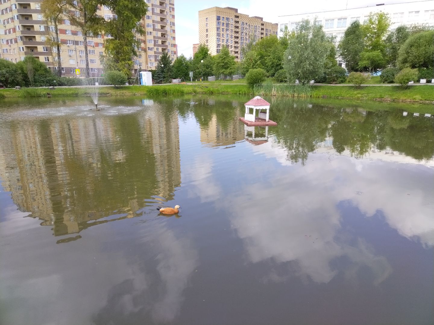 Мытищи, Ядреевский пруд, благоустройство, сквер на улице Колпакова
