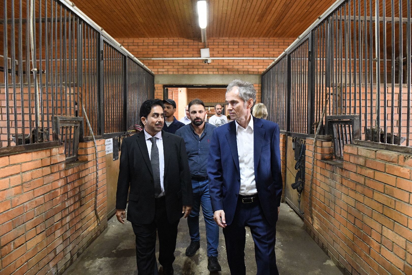 лыткарино, общество, тентпеггинг, конный спорт,