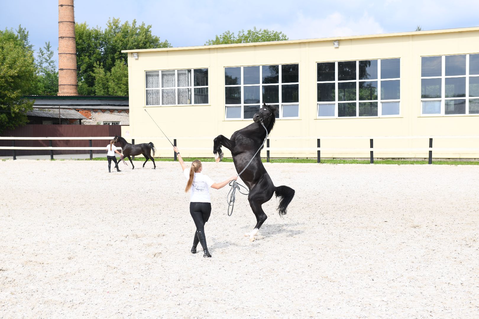 лыткарино, общество, тентпеггинг, конный спорт,